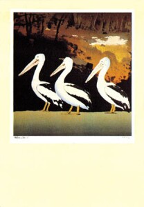 Poster: Ardell: Pelicans - 62x89 cm